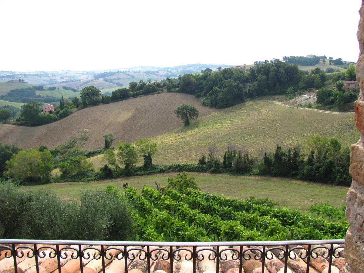 Agriturismo Bacchiocchi Bed & Breakfast Orciano di Pesaro Exterior foto